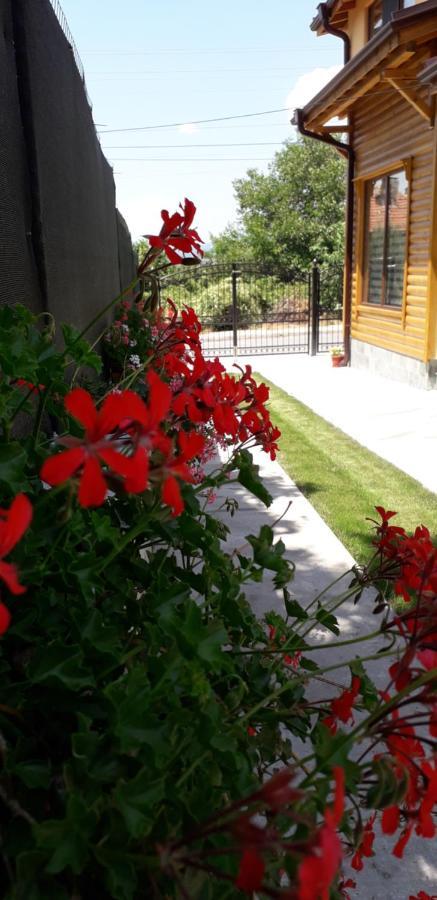 Guest House Ideal Sapareva Banya Exterior foto